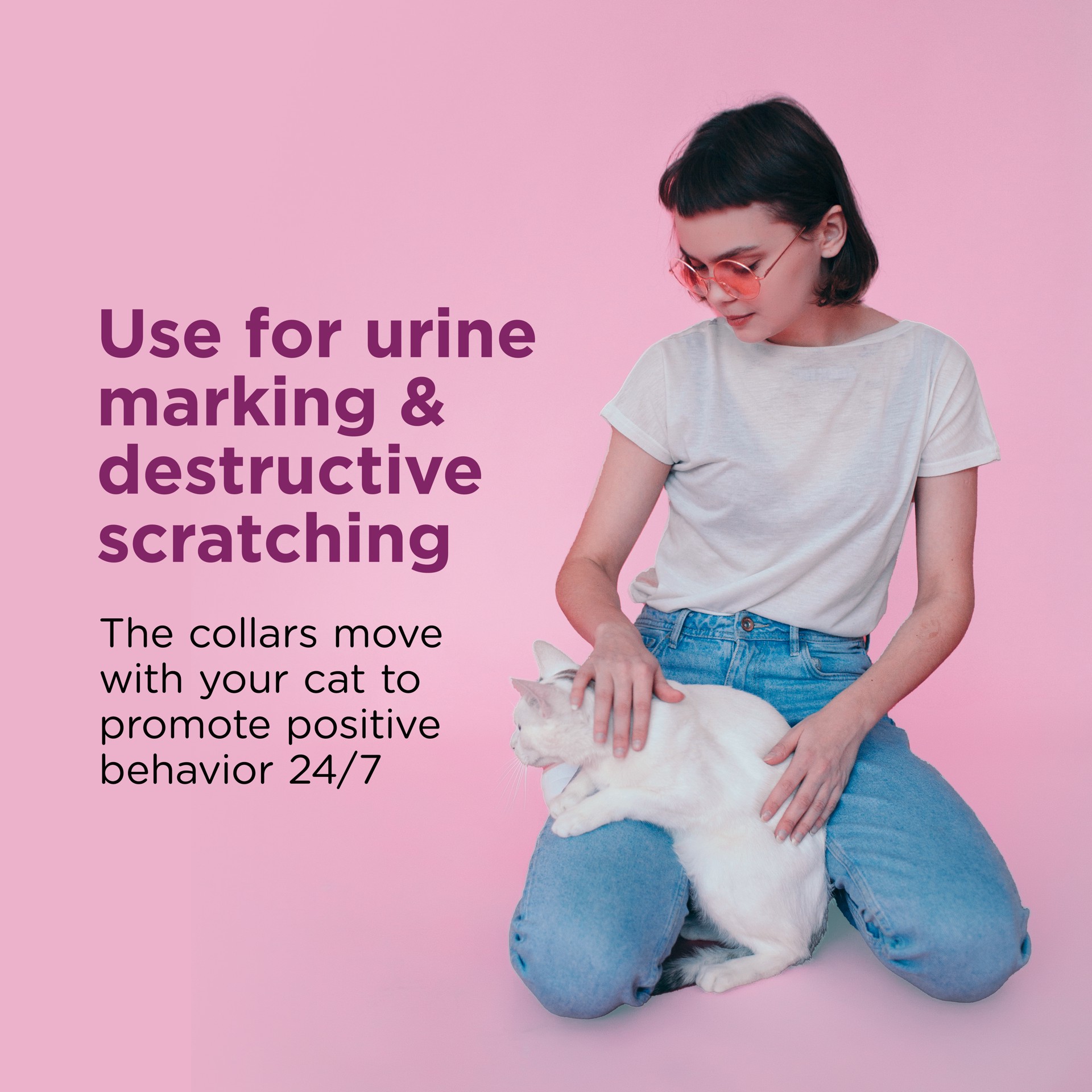 slide 4 of 7, Comfort Zone Cat Calming Pheromone Collar, Anxiety & Stress Relief Aid, Breakaway Design, White, 2 Pack, 1 ct