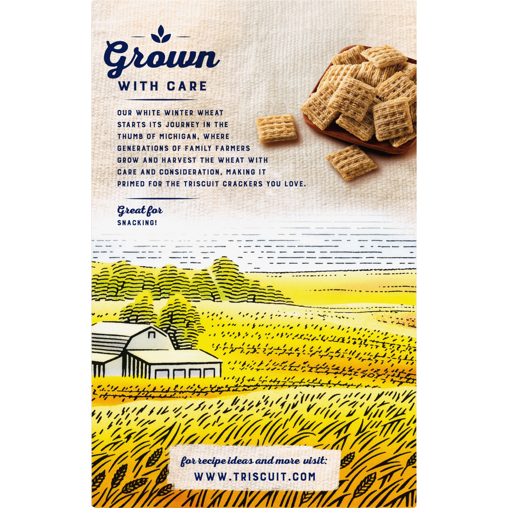 slide 2 of 8, Triscuit Minis Original Whole Grain Wheat Crackers, Vegan Snacks, Snack Crackers, 8 oz, 8 oz