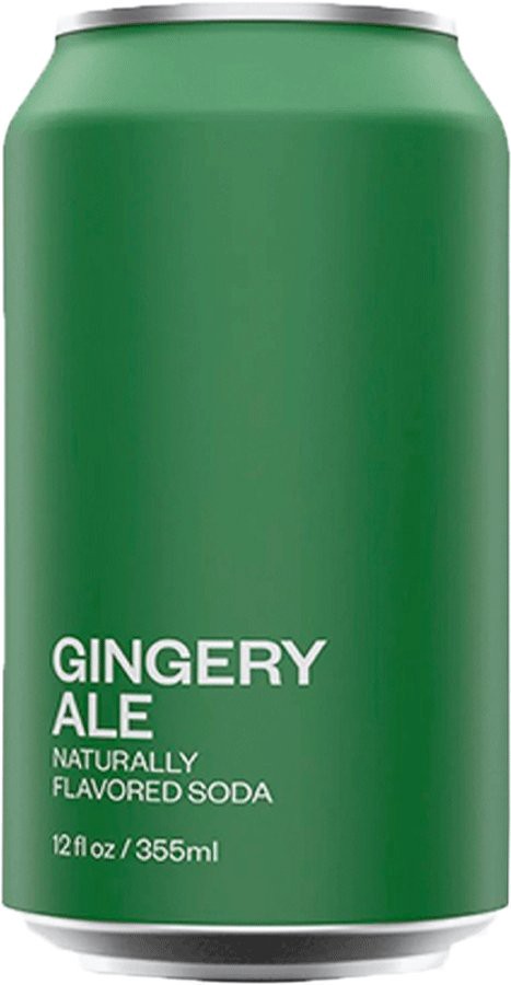 slide 1 of 1, United Sodas Of America United Sodas Of America Gingery Ale Soda - 12 oz, 12 fl oz