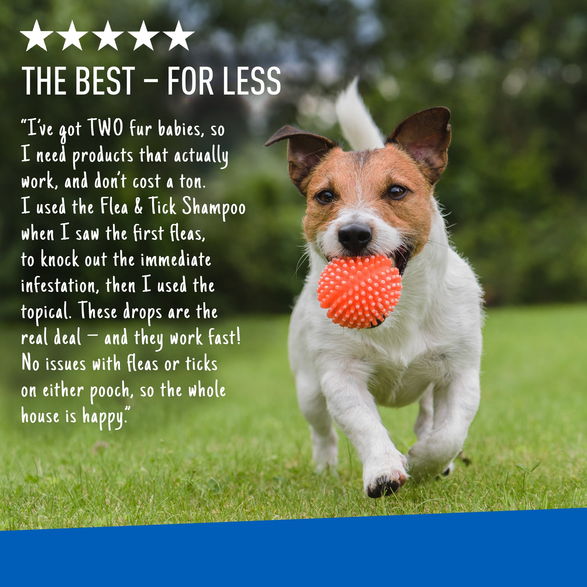 slide 6 of 9, Adams Plus Flea & Tick Prevention Spot On for Dogs, Medium Dogs 15 to 30 lbs, 1 ct