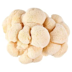 Produce Pom Pom Mushrooms