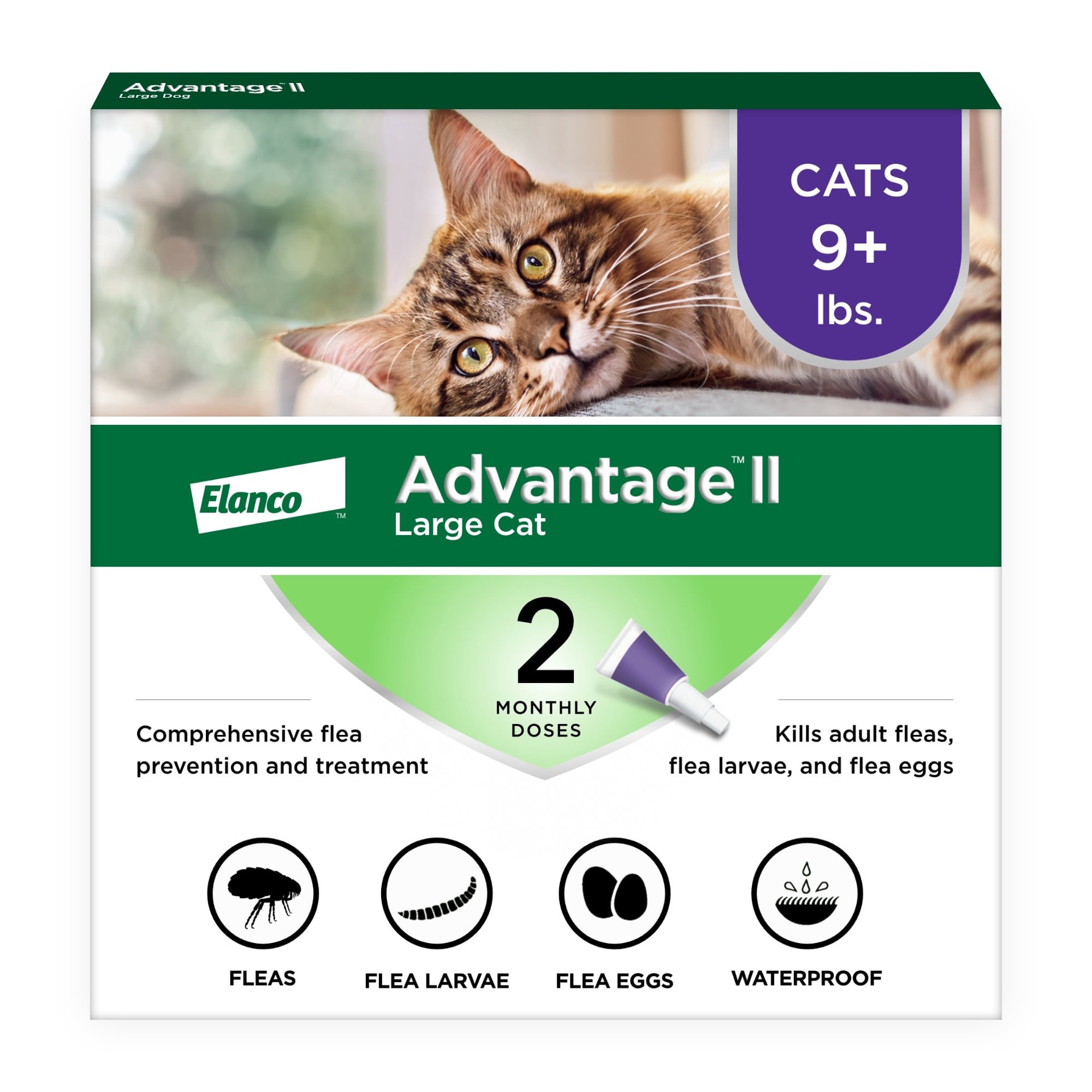 slide 1 of 9, Elanco Advantage II Large Cat Flea and Tick Collar 1 ea, 1 ct