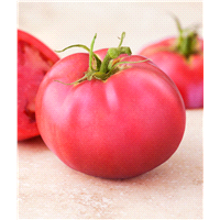 slide 5 of 5, Bonnie Plants 4.5'' Tomato - Pink Girl, 19.3 oz