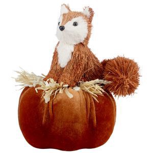 slide 1 of 1, Fall Fest Sisal Animal On Pumpkin, 2 Assorted, 1 ct