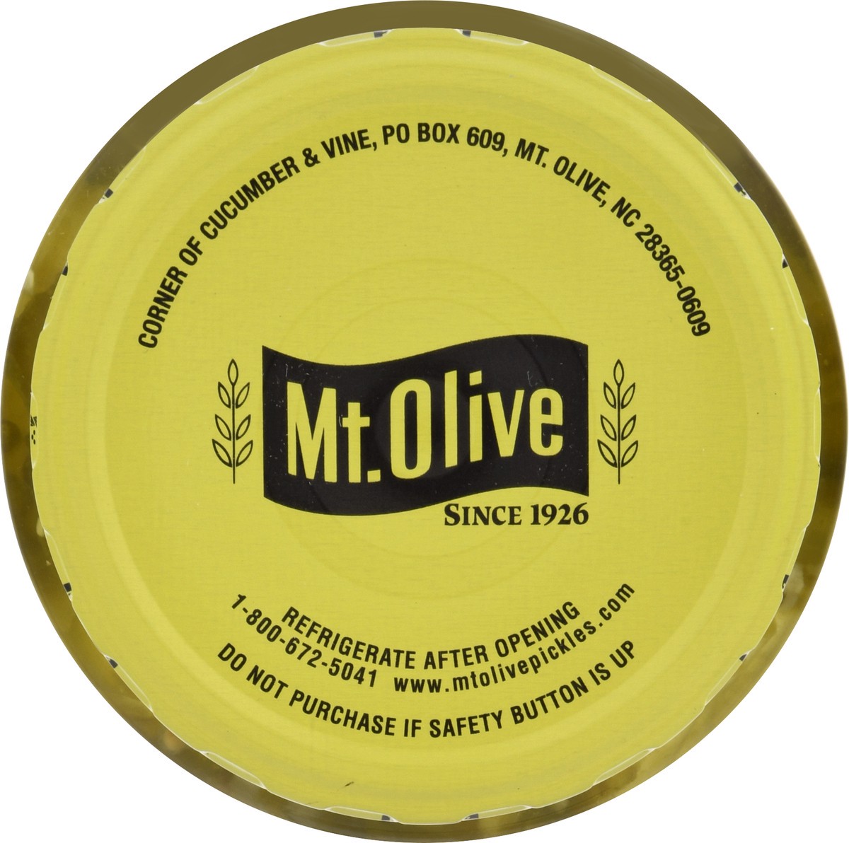 slide 9 of 9, Mt. Olive Old-Fashioned Sweet Bread & Butter Chips 24 fl oz Jar, 24 oz