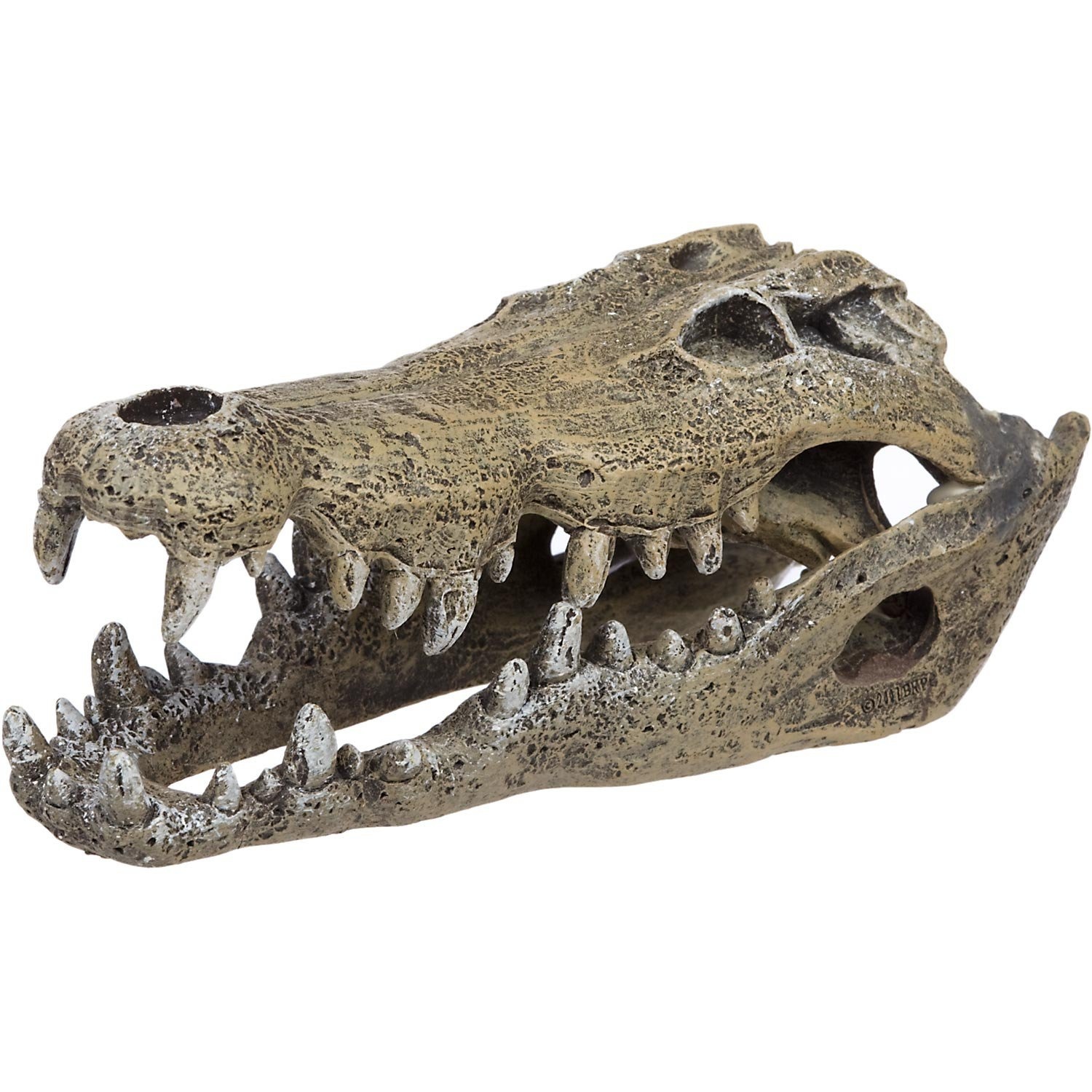 slide 1 of 1, Blue Ribbon Pet Blue Ribbon Nile Crocodile Skull Aquarium Ornament, 1 ct