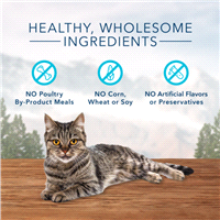 slide 5 of 17, Blue Buffalo Wilderness Grain Free Soft-Moist Cat Treats, Chicken & Trout, 2 oz