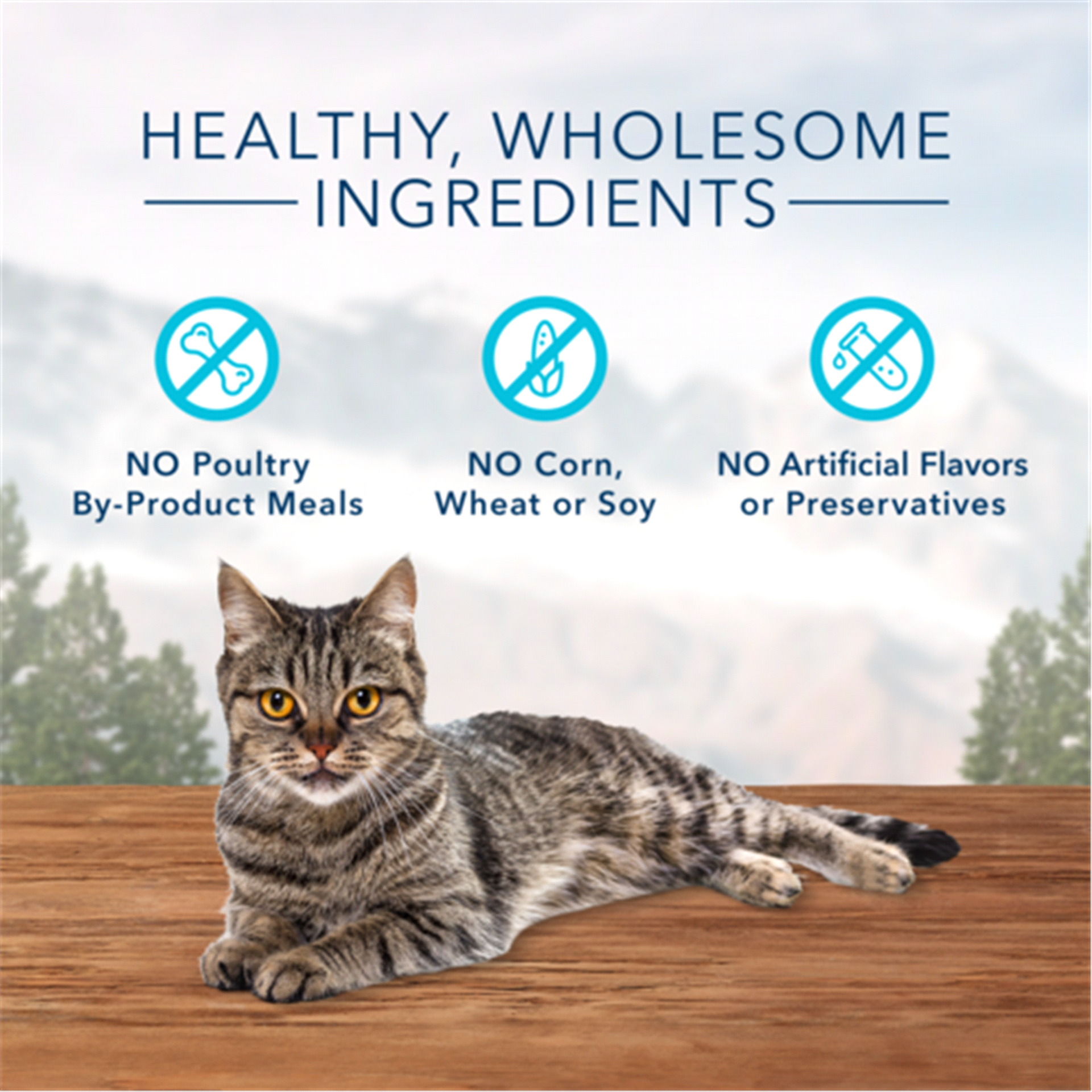 slide 3 of 17, Blue Buffalo Wilderness Grain Free Soft-Moist Cat Treats, Chicken & Trout, 2 oz