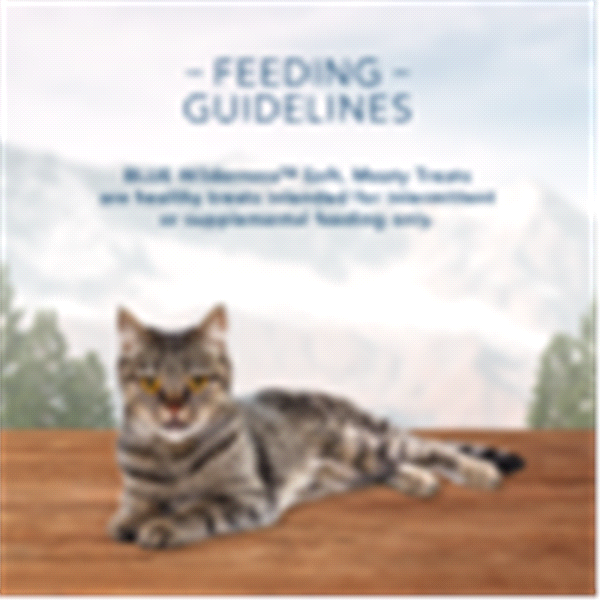 slide 7 of 17, Blue Buffalo Wilderness Grain Free Soft-Moist Cat Treats, Chicken & Trout, 2 oz