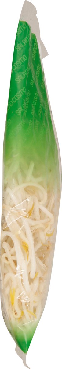 slide 13 of 14, Salad Cosmo Organic Mung Bean Sprouts 9 oz, 9 oz