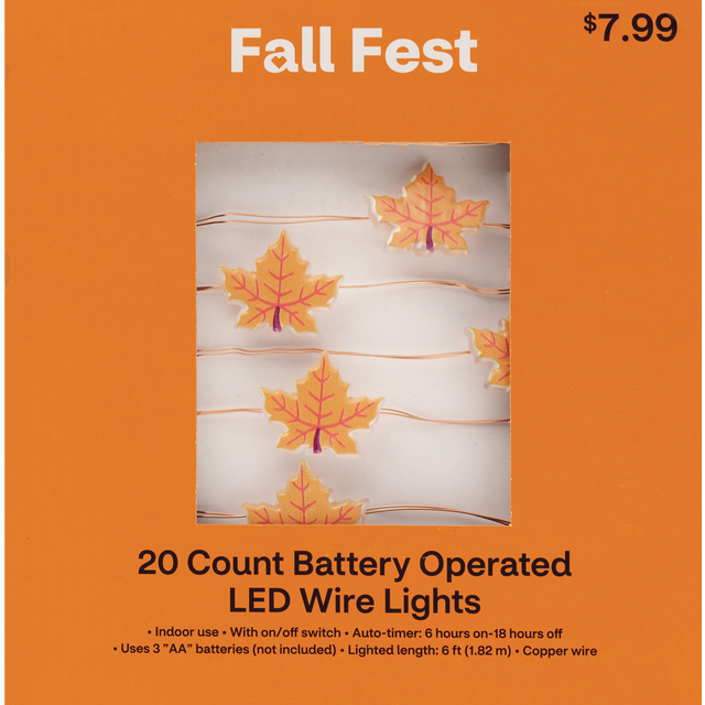 slide 1 of 1, FALL FEST 20Ct Bo Led Wire Lit W/Timer,4 Asst, 1 ct