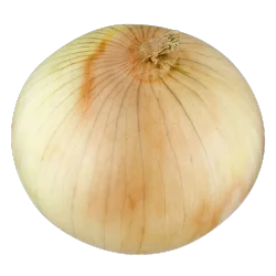 Sweet Yellow Onion