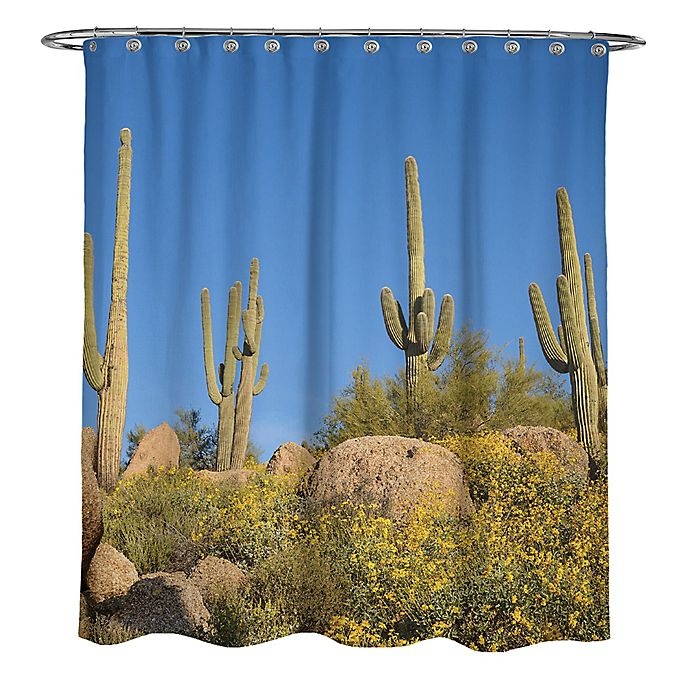 slide 2 of 2, Avanti Photoreal Cactus Square Shower Curtain, 72 in