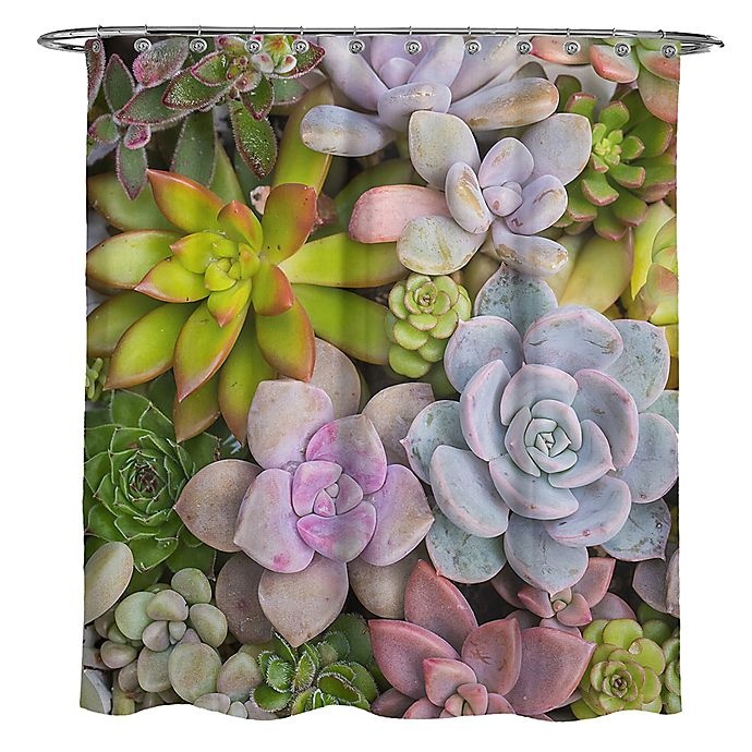 slide 2 of 2, Avanti Photoreal Succulents Square Shower Curtain, 72 in