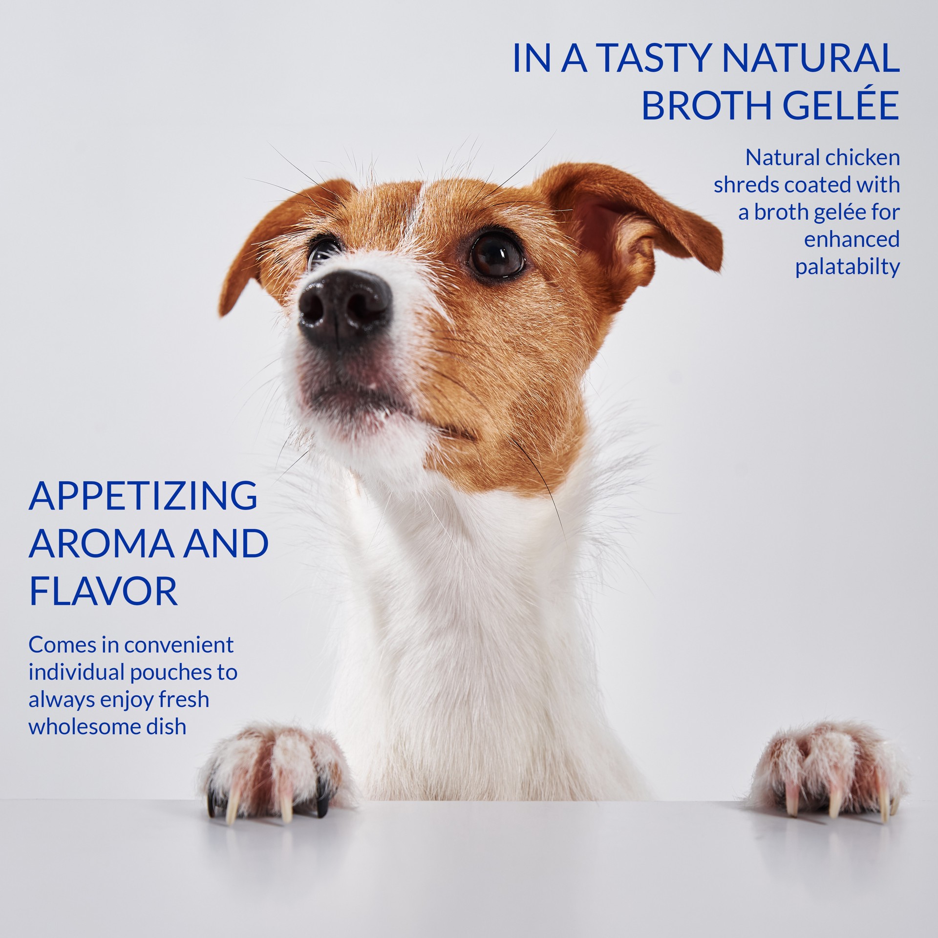 slide 5 of 5, Inaba Twin Pack Dog Treat Ckn W/Veg & Chs, 1 ct