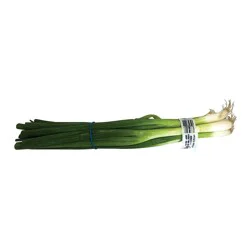 Onions - Green Onions - Scallions