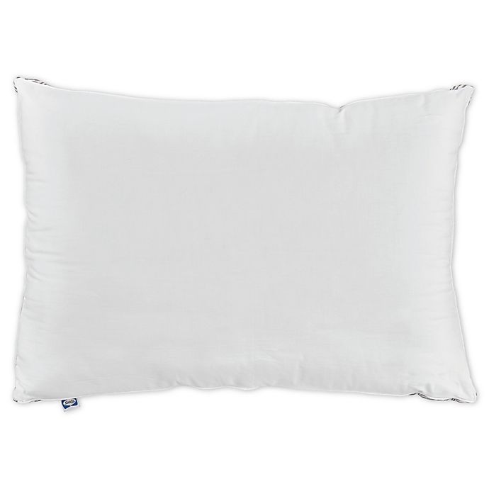 slide 1 of 3, Sealy Firm Support Back/Side Sleeper Cotton Standard/Queen Pillow, 1 ct