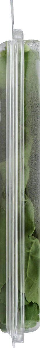 slide 5 of 6, Full Circle Arugula, 3 ct