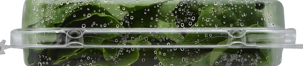 slide 2 of 6, Full Circle Arugula, 3 ct