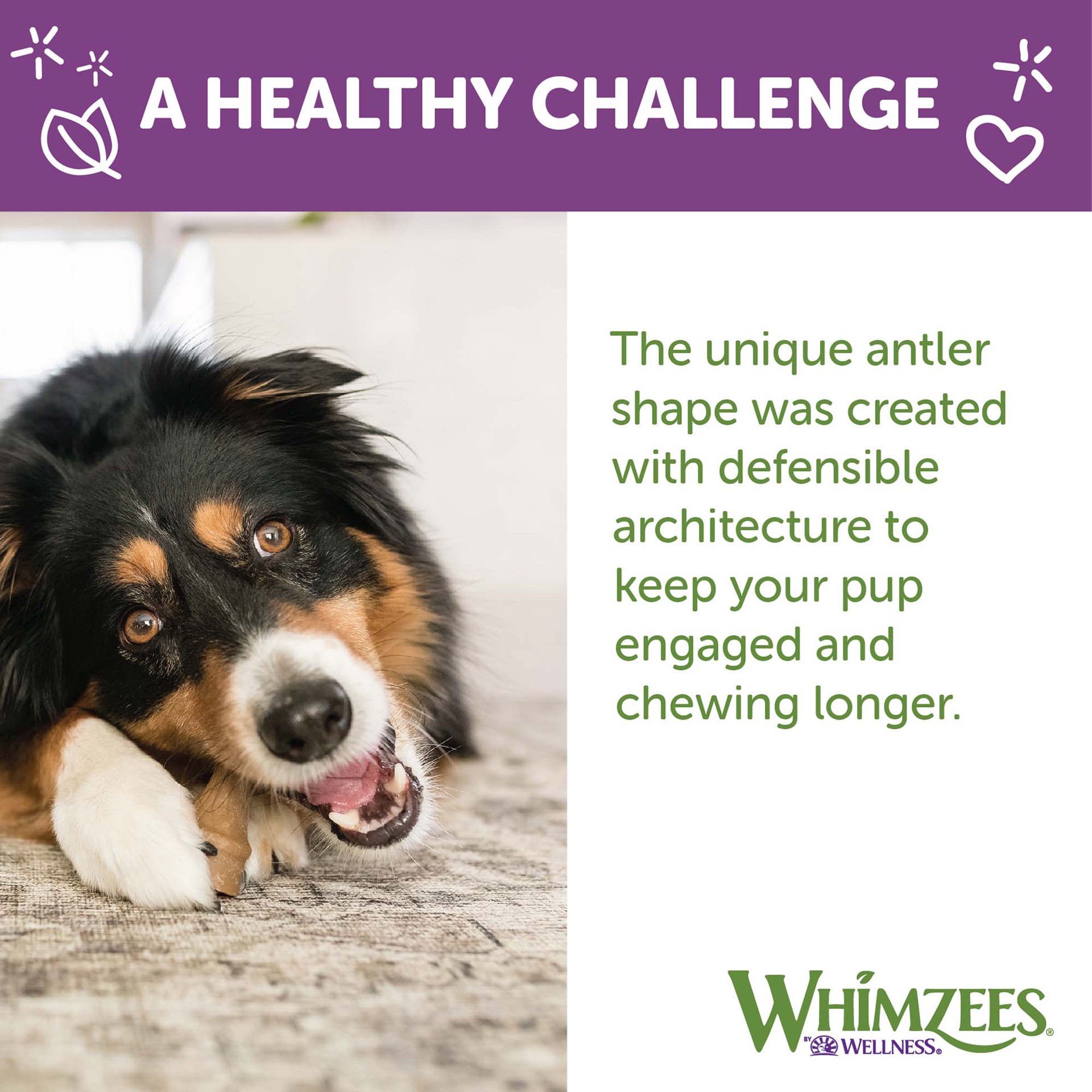 slide 3 of 4, Whimzees By Wellness Occupy Medium Dog Chews - Vegetable, 1 ct
