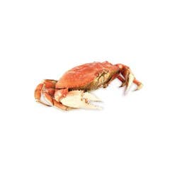 Fresh Cooked Dungeness Crab, Wild, 1 Each, Approx.