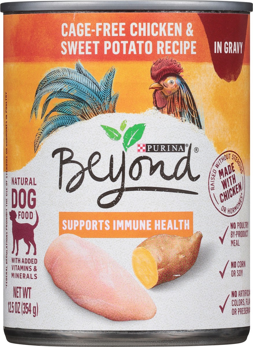 slide 5 of 9, Beyond Purina Beyond Chicken and Sweet Potato in Gravy Grain Free Wet Dog Food, 12.5 oz