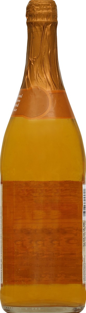 slide 4 of 6, R.W. Knudsen Family Sparkling Caramel Apple Juice, 25.4 Ounces, Non-Alcoholic Juice, 25.4 fl oz