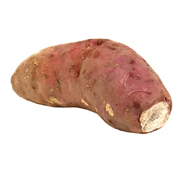 Boniato Sweet Potato