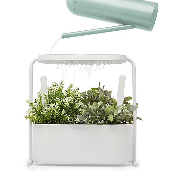 slide 1 of 4, Umbra Giardino Herb and Garden Plant Set - White, 1 ct