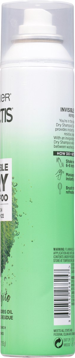 slide 6 of 9, Garnier Invisible Mint Mojito Dry Shampoo 4.4 oz, 4.4 oz