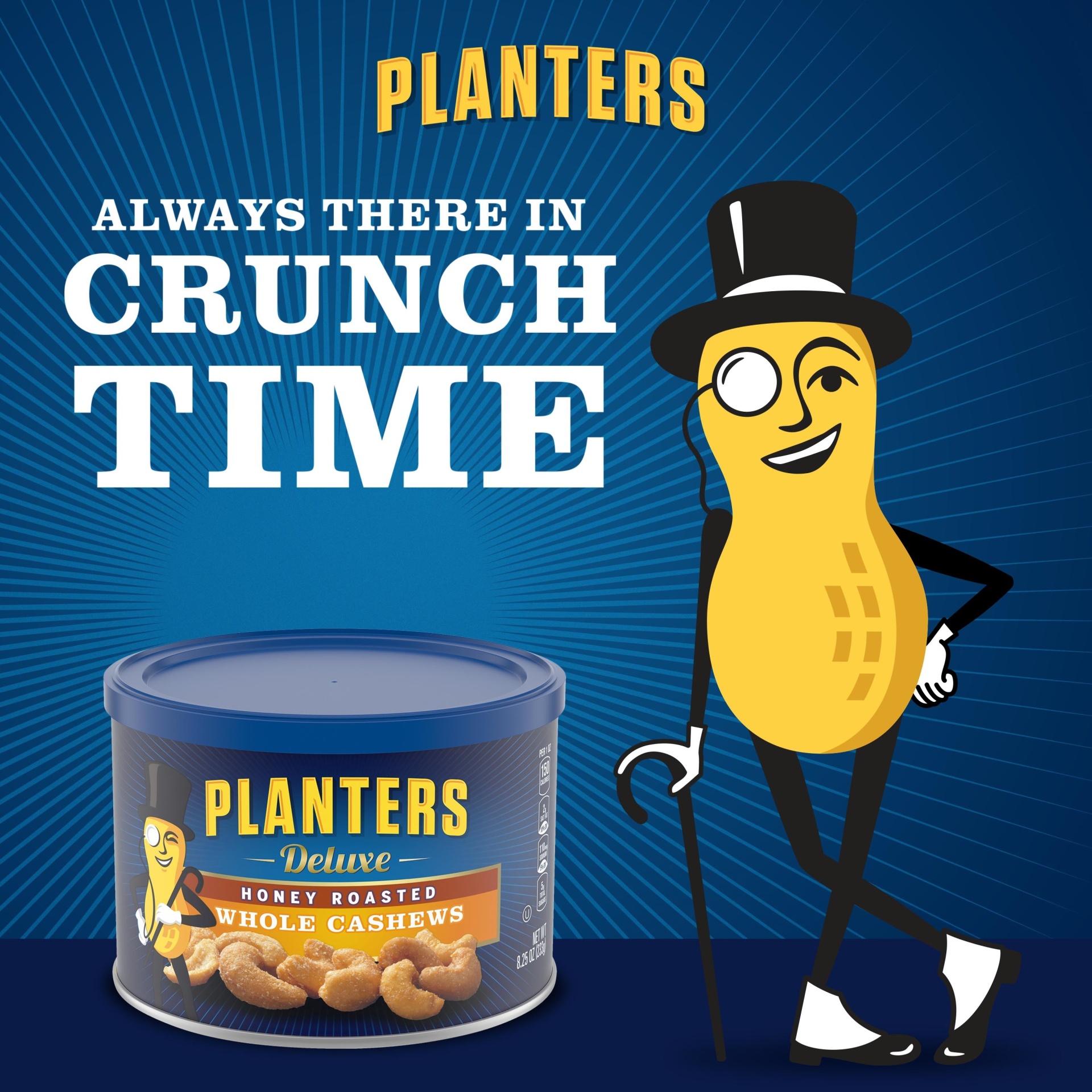 slide 9 of 12, Planters Deluxe Whole Honey Roasted Cashews 8.25 oz, 8.25 oz