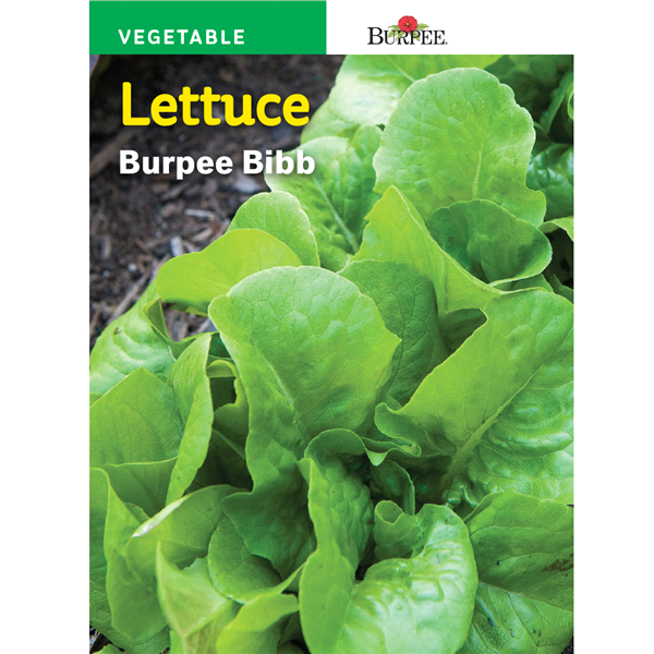 slide 1 of 1, Burpee Lettuce Head Bibb Seeds, 1 ct