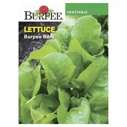 Burpee Lettuce Head Bibb Seeds