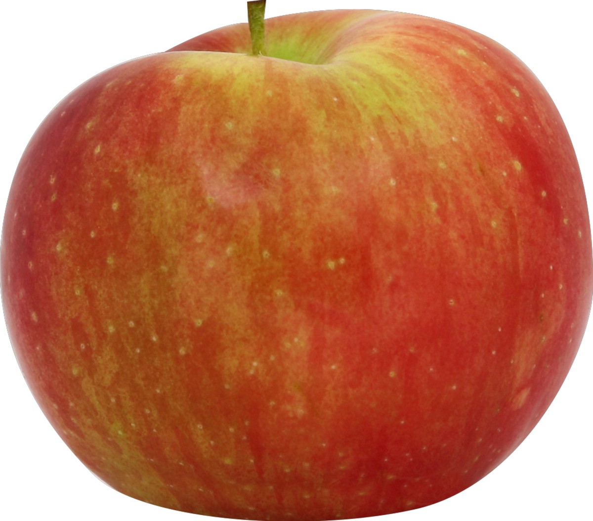 slide 1 of 3, McIntosh Apples, 1 ct