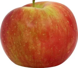 McIntosh Apples