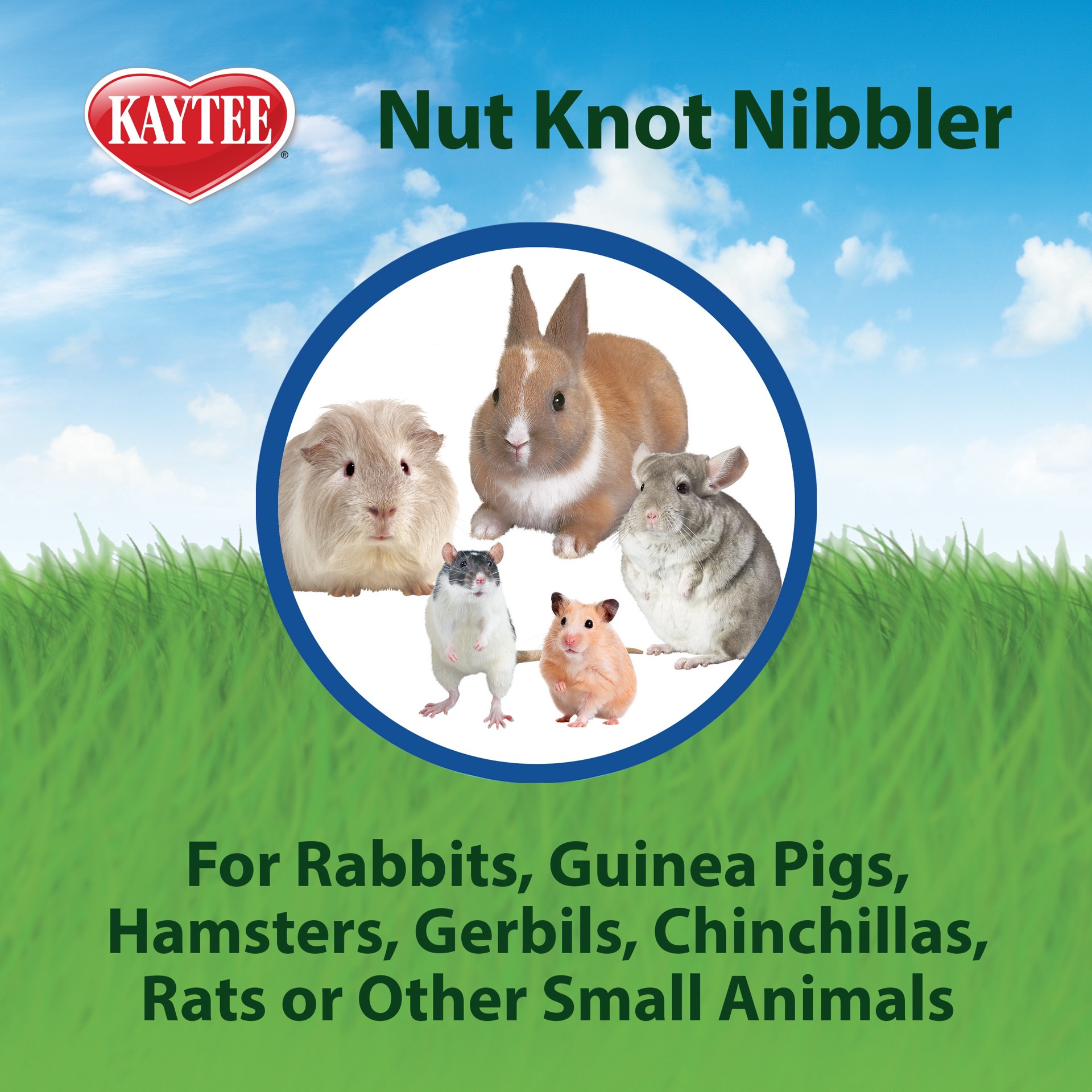 slide 7 of 10, Kaytee Hard Goods Kaytee Nut Knot Nibbler, 1 ct