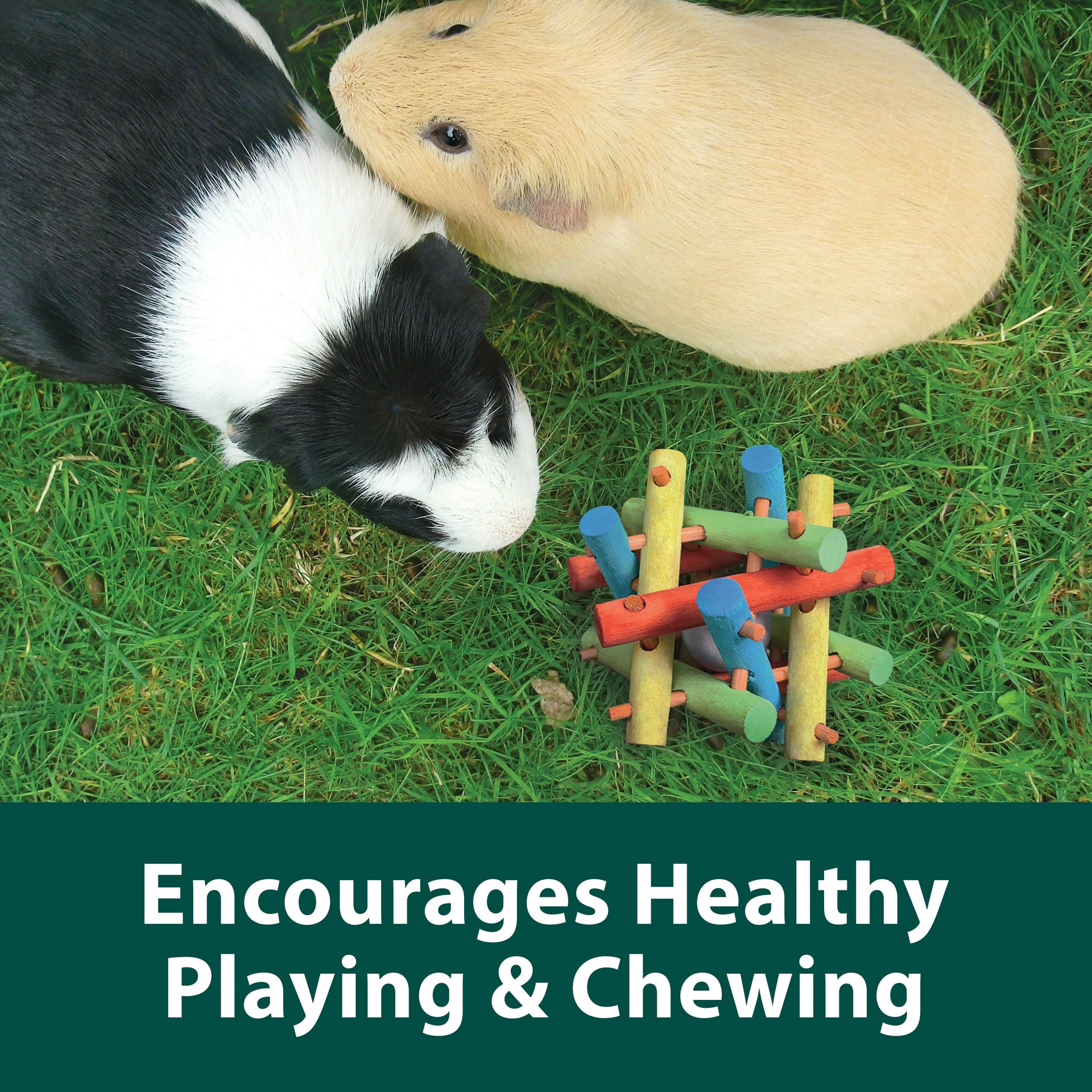 slide 3 of 10, Kaytee Hard Goods Kaytee Nut Knot Nibbler, 1 ct