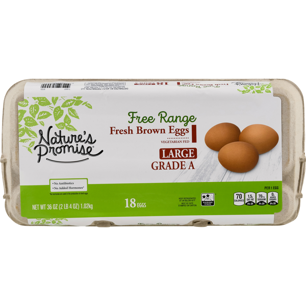 slide 1 of 1, Nature's Promise Free Range Vegetarian Fed Large Brown Eggs, 1.5 doz