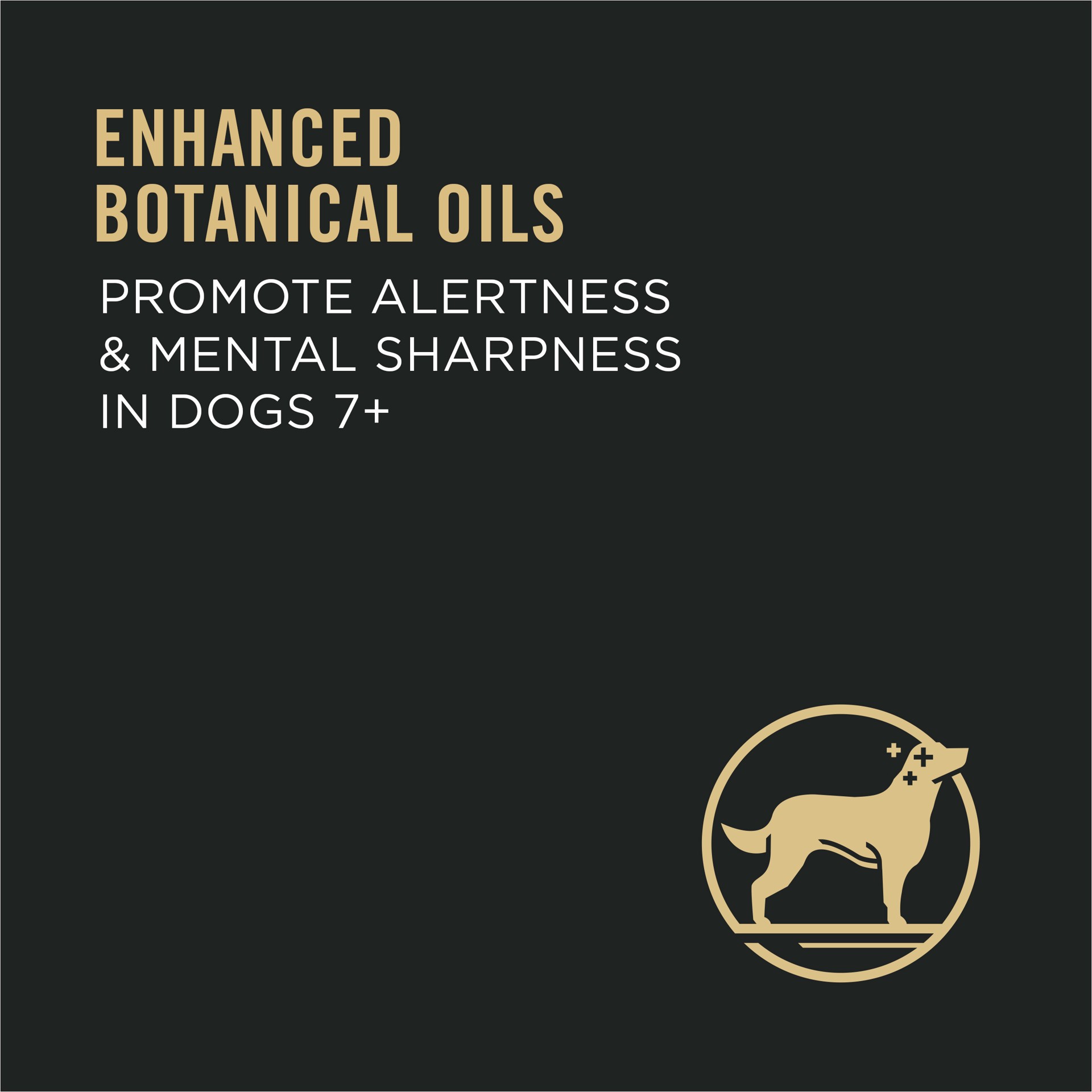 slide 2 of 8, Purina Pro Plan Senior Dog Food With Probiotics for Dogs, Bright Mind 7+ Chicken & Rice Formula, 16 lb