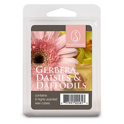 slide 1 of 1, ScentSationals Gerbera, Daisies & Daffodils Wax, 1 ct