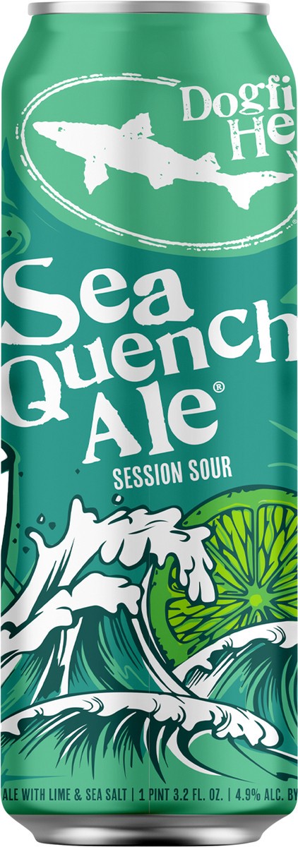 slide 4 of 6, Dogfish Head SeaQuench Ale Session Sour Beer , 1 PK