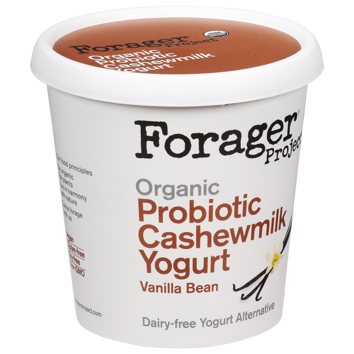 slide 6 of 9, Forager Project Organic Dairy-Free Cashewmilk Vanilla Bean Yogurt 24 oz, 24 oz