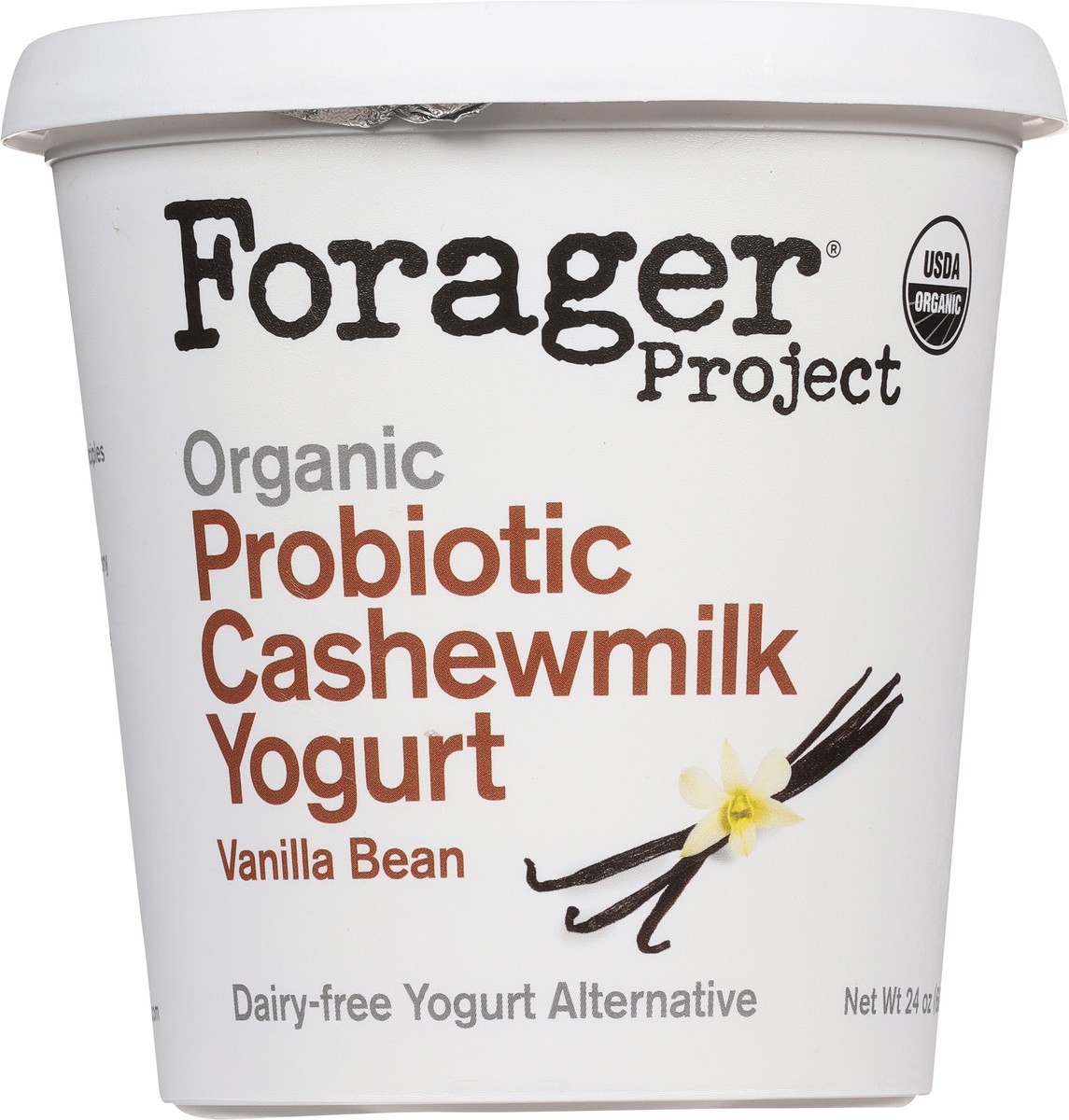 slide 2 of 9, Forager Project Organic Dairy-Free Cashewmilk Vanilla Bean Yogurt 24 oz, 24 oz