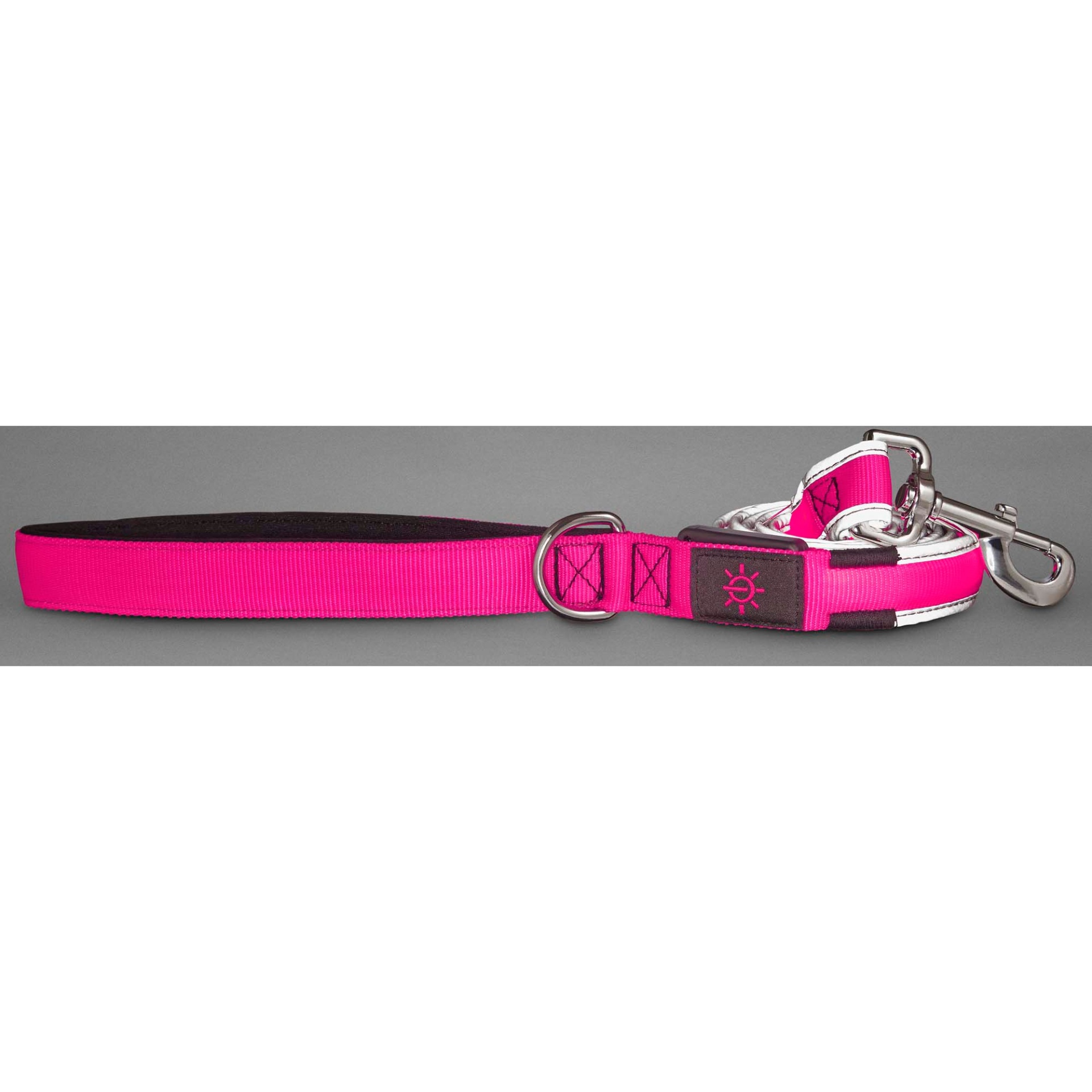 slide 1 of 1, Good2Go LED Light-Up Leash for Dogs in Pink, 1 ct