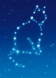 Avanti Card Pet Cat Constellation