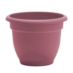 Bloem Ariana 10 Inch Dusty Rose Planter