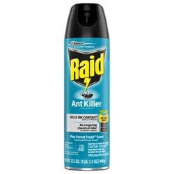 Raid Ant Killer 26, Insecticide Spray for Home, Pine Forest Fresh Scent, 17.5 oz