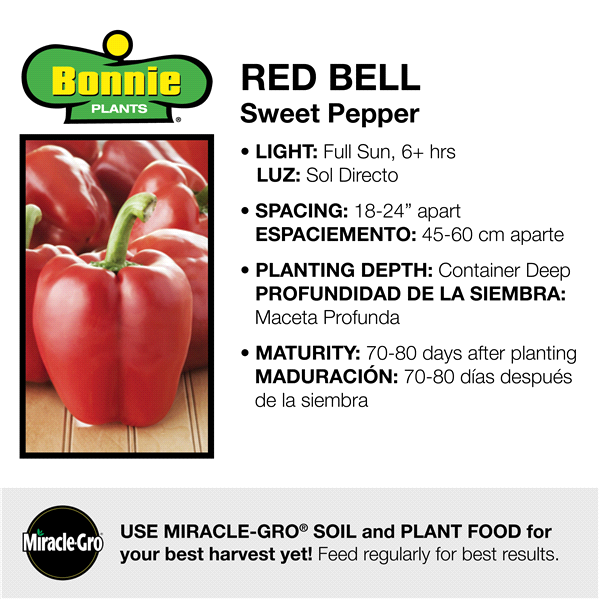 slide 8 of 9, Bonnie Plants  Pepper Red Bell, 19.3 oz