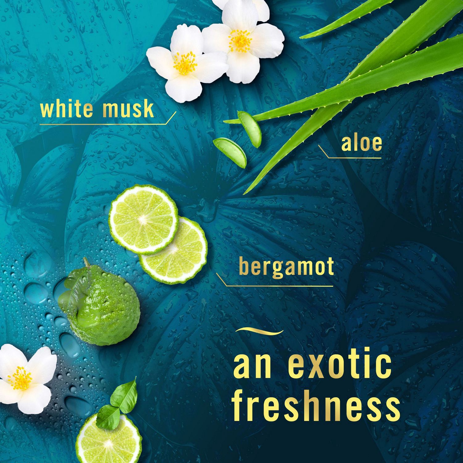 slide 4 of 8, Febreze Air Effects Ember Scent Air, 8.8 oz