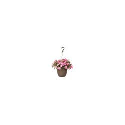 Flowers 10 Select Hanging Basket, 1 Each